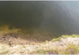 В Бресте 7 августа на озере утонул мужчина