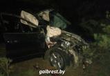 В Бресте в аварии погиб пассажир автомобиля, за рулем которого был бесправник