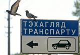 С 1 января в Беларуси при смене владельца автомобиля не нужно будет заново проходить техосмотр