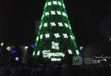 Главную новогоднюю елку Бреста торжественно открыли на площади Ленина  