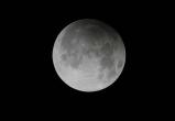 Вечером 31 января белорусы смогут наблюдать «голубую Луну», лунное затмение, суперлуние и полнолуние