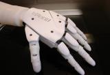 Брестчане смогут принять участие в создании человекоподобного робота