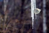 Только за прошлую неделю в Беларуси от падений и замерзаний пострадали 860 человек