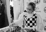 Шахматные выходные ждут Брест 26 – 27 мая