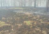 Пожар на Ольманских болотах полностью локализован