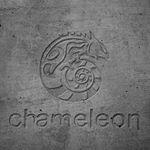 Дизайн-студия Chameleon