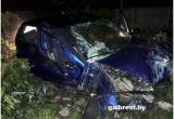В Брестском районе в результате наезда на забор пострадали водитель и пассажирка 