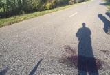 В Дрогичинском районе 18-летний парень сбил на трассе человека и уехал
