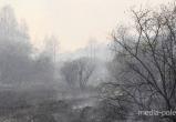 Смог на Столинщине установился из-за горящих в Украине торфяников
