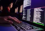 «Мы так зарабатываем»: в Бресте хакеры блокируют компьютеры фирм и вымогают за пароли тысячи долларов
