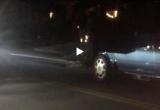 Видеофакт: драка енотов стала причиной пробки на оживленной улице