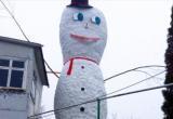 9-метрового снеговика слепили в Жлобине (видео)