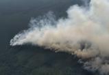 Крупный пожар в Столинском районе: лес  тушат 100 человек и вертолеты (видео)
