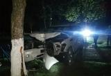 Внедорожник врезался в дерево в Новолукомле: есть погибшие