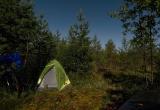 На Ольманских болотах запретили ставить палатки