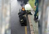 Работники МЧС спасали утят в Минске