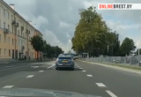Ленивый голубь катался на такси в Бресте (видео)