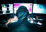 В Беларуси совершено более 10 кибератак на предприятия