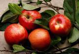 Почему белорусские яблоки дороже польских?