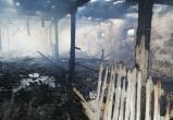36 телят погибли на пожаре в Столинском районе