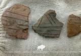 Сотни артефактов найдены при раскопках в «Беловежской пуще»