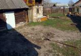 В Полоцке парни избили знакомого лопатой и похоронили заживо