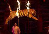 Белорусы активно просят запретить цирки с животными