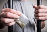 В Беларуси хотят выпускать досрочно впервые осужденных за наркотики