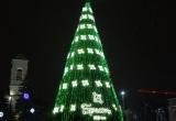Когда в Бресте появится главная новогодняя елка?