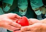 9 мифов о трансплантации органов