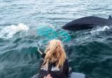 Экологи спасли горбатого кита от неминуемой гибели в охраняемой зоне