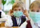 В Витебске четыре класса перевели на домашнее обучение из-за коронавируса