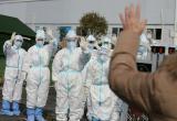 Вне Китая коронавирусом заразились более 12,5 тысяч человек из 77 стран