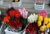Кому мужчины Бреста покупали тюльпаны 8 марта и сколько стоили весенние цветы?