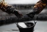 Мировые цены на нефть начали резко расти