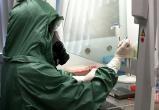 В Беларуси зафиксировали еще два случая заражения коронавирусом
