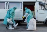 В Беларуси выявлен 51 случай коронавируса