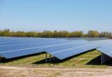 В Пинске хотят построить солнечную электростанцию