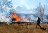 Сезон лесных пожаров открыла Брестская область