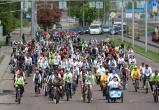 Велопереезд в Польшу, грузовые велосипеды и новая экотропа – что ждет Брест в этом году
