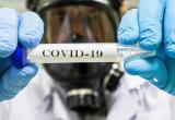 ВОЗ отправила в Беларусь 6 тысяч тестов на коронавирус