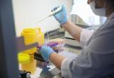 Россия отправит в Беларусь 10 тысяч тестов на коронавирус