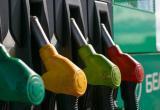В Беларуси собирают подписи за снижение цен на топливо