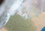 Огромный лесной пожар бушует в Столинском районе