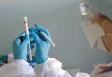 Лабораторию кожвендиспансера в Бресте перепрофилировали для диагностики коронавируса