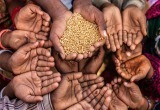В ООН боятся голода «библейских масштабов»