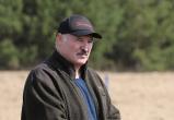 Лукашенко в кардигане за 300 евро сажал деревья на субботнике