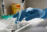 На Брестчине шесть лабораторий проводят тестирование на коронавирус