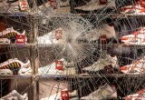 Беспорядки в Штутгарте: какова роль наркотиков, мигрантов и политики?