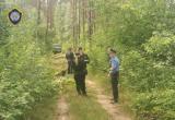 Спиленное дерево убило 15-летнюю девочку в Пуховичском районе